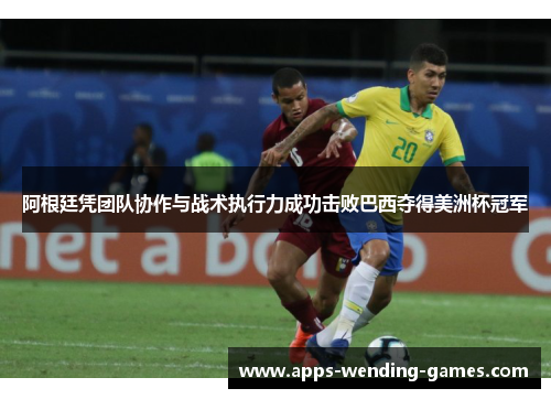 阿根廷凭团队协作与战术执行力成功击败巴西夺得美洲杯冠军 阿根廷凭团队协作与战术执行力成功击败巴西夺得美洲杯冠军