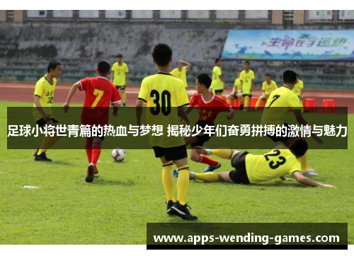 足球小将世青篇的热血与梦想 揭秘少年们奋勇拼搏的激情与魅力