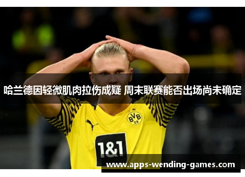 哈兰德因轻微肌肉拉伤成疑 周末联赛能否出场尚未确定 哈兰德因轻微肌肉拉伤成疑 周末联赛能否出场尚未确定